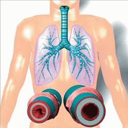 Bronchial asthma