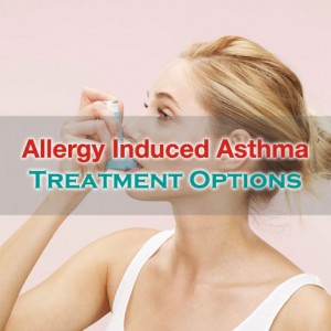 Allergen induced attacks of asthma
