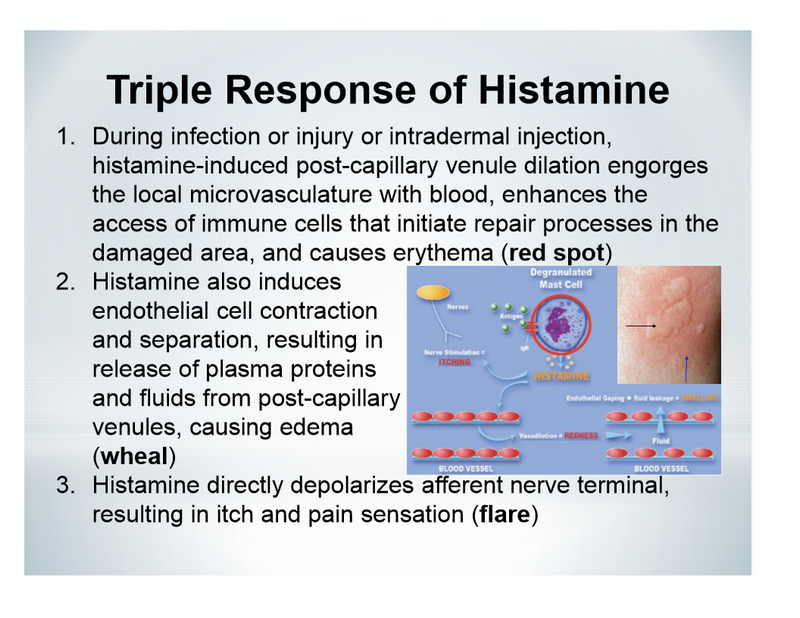 Histamine