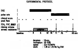 exercise test