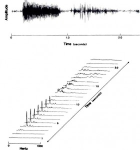 Time-amplitude wave